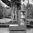 Cabinet of books