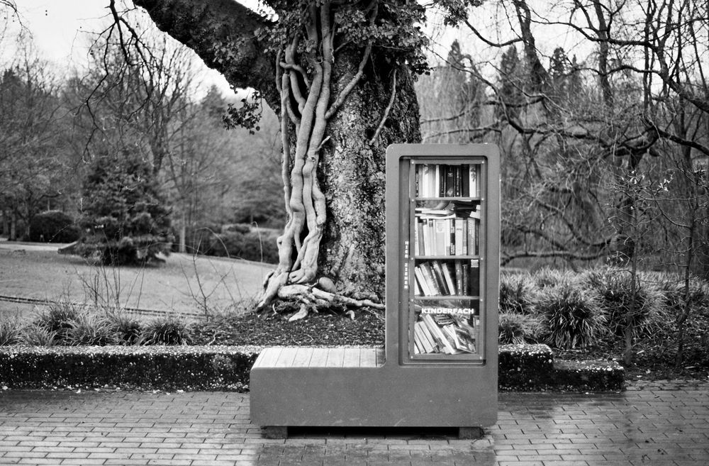 Cabinet of books