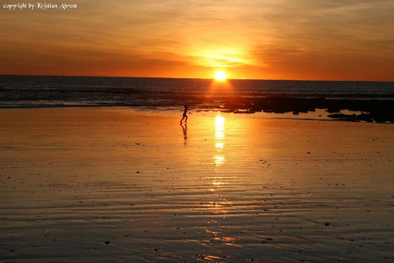 Cable Beach Broom 1