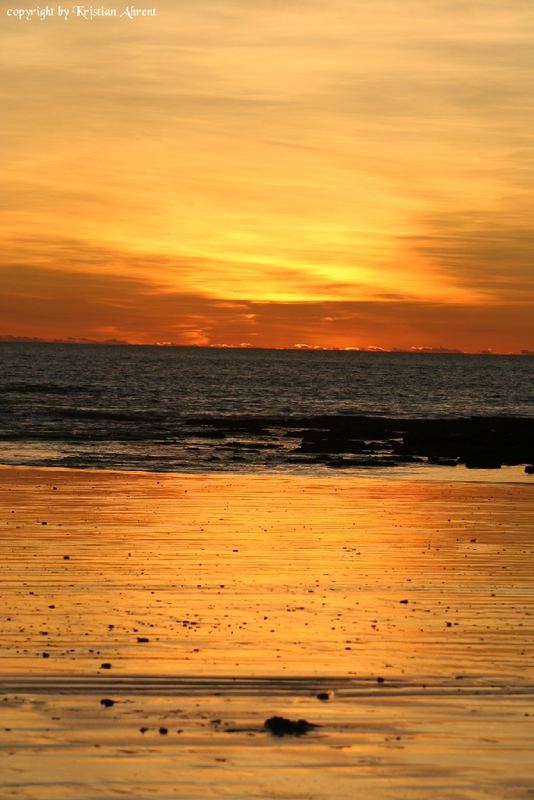 Cable Beach Broom 2