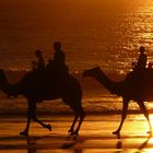 Cable Beach Caravan