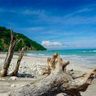 Cabo Blanco National Park, Costa Rica