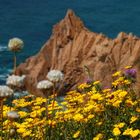 Cabo da Roca