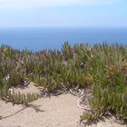 Cabo da Roco