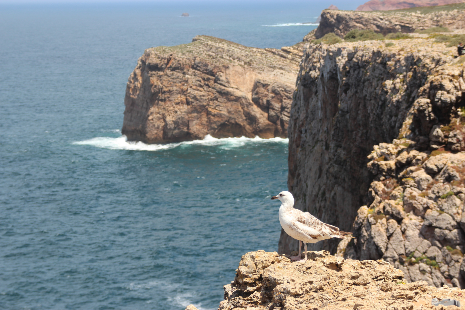 Cabo de Sao Vicente