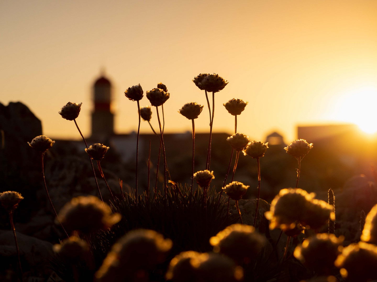 Cabo de Sao Vicente, Algarve - Sonnenuntergang