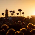 Cabo de Sao Vicente, Algarve - Sonnenuntergang