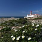 Cabo de São Vicente