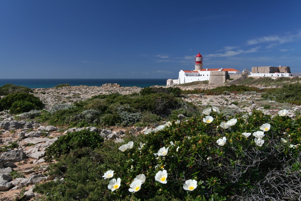 Cabo de São Vicente