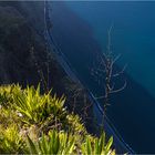 Cabo Girao am Morgen