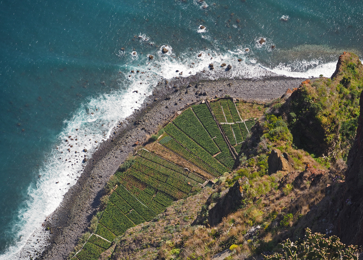 Cabo Girao- Lines