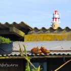 CABO POLONIO LIGHTHOUSE & SHOES