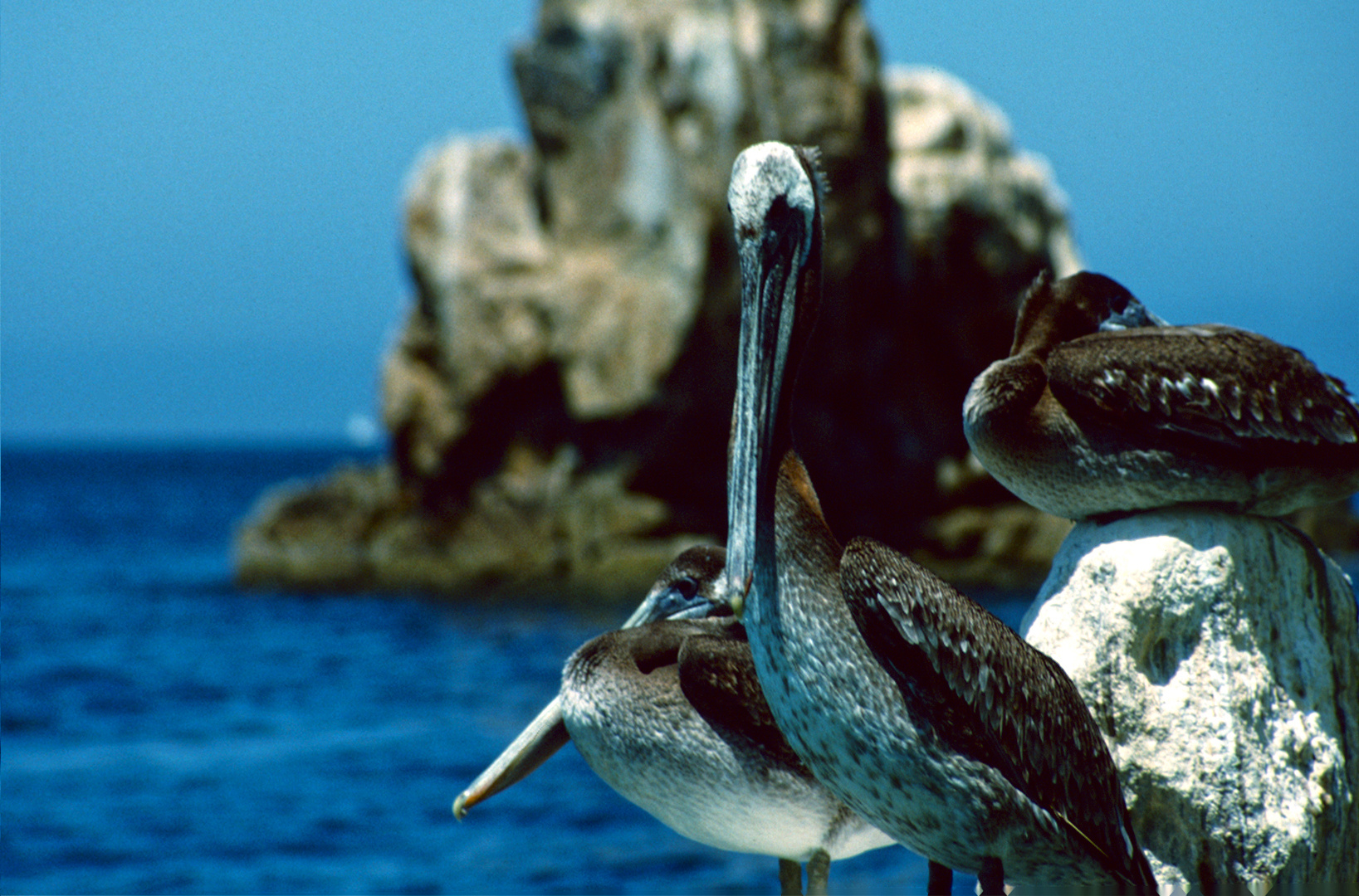 Cabo San Lucas, MX - 1988