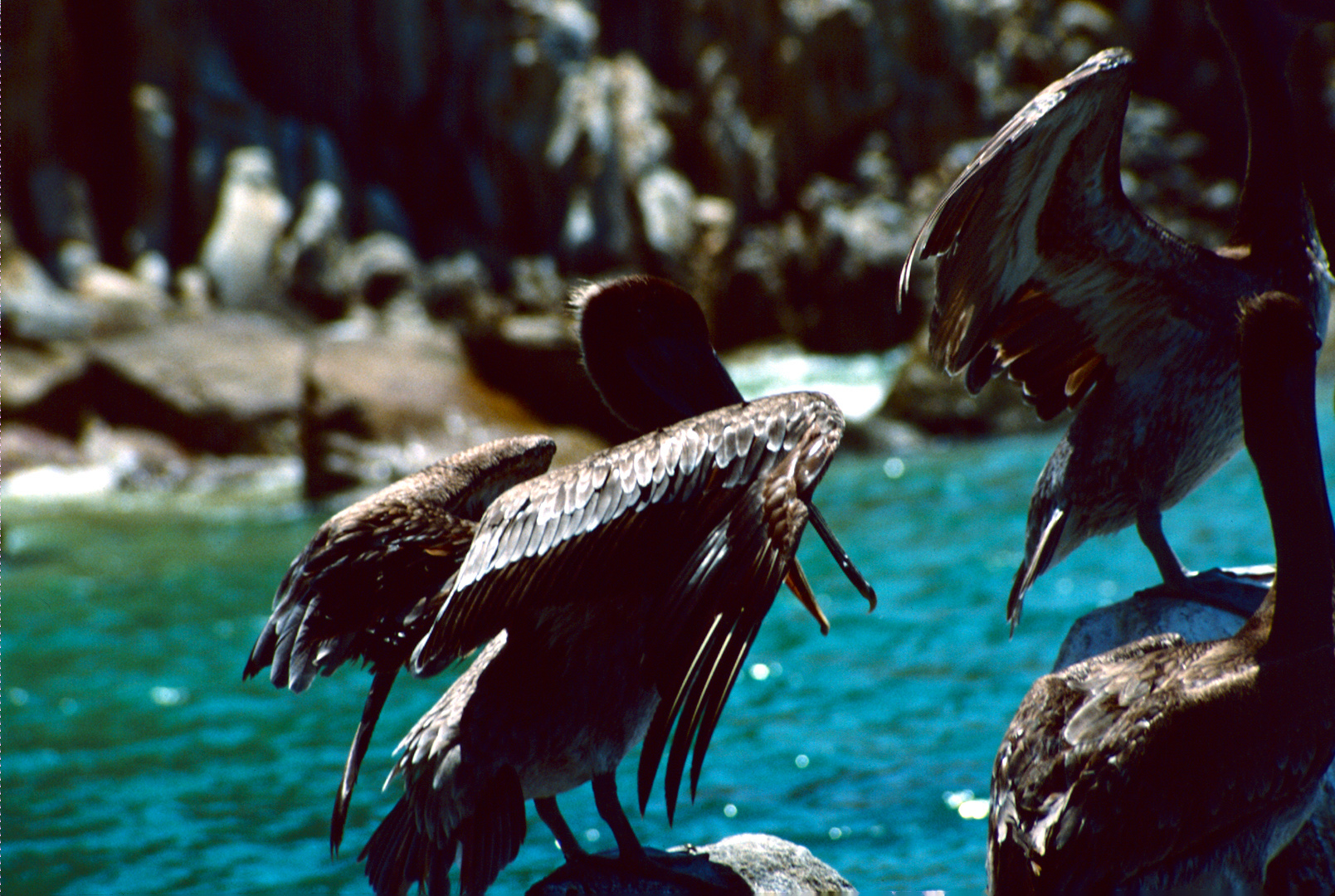 Cabo San Lucas, MX - 1988