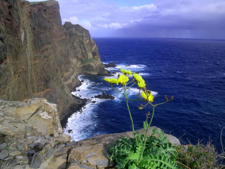 cabo sao lourenco madeira