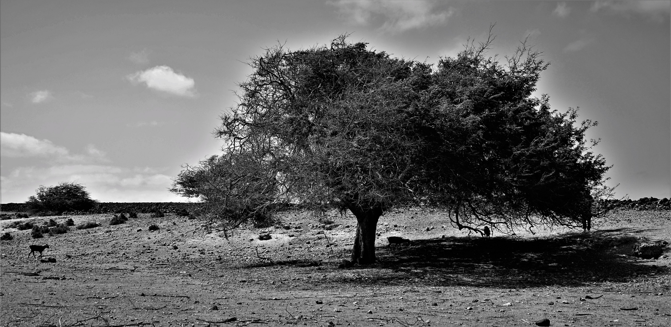 Cabo Verde