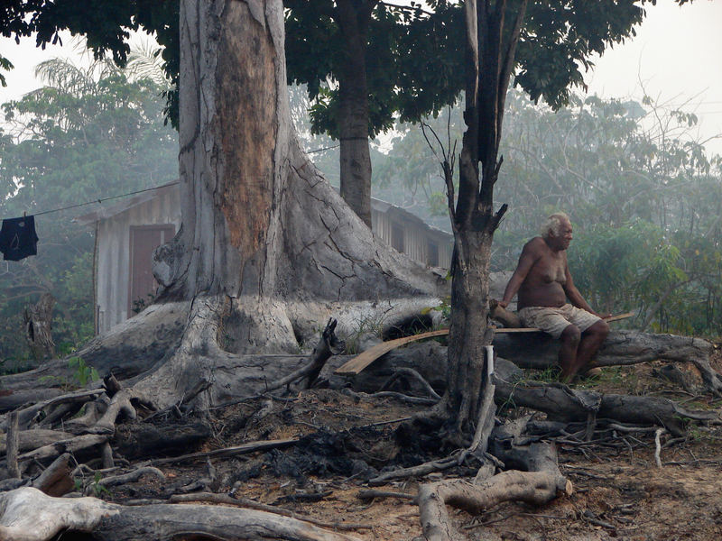 Caboclo-Siedlung im Amazonas