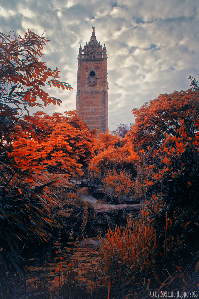 Cabot Tower (Brandon Hill), Bristol. Oder auch: Rapunzels has left her home behind lol