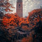 Cabot Tower (Brandon Hill), Bristol. Oder auch: Rapunzels has left her home behind lol