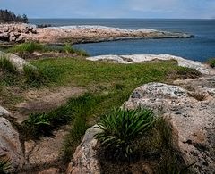 Cabot Trail | Cape Breton Island, Nova Scotia