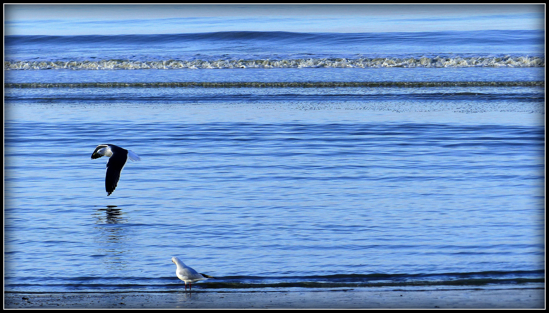 CABOURG - 12 - 