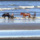 CABOURG - 2 - 