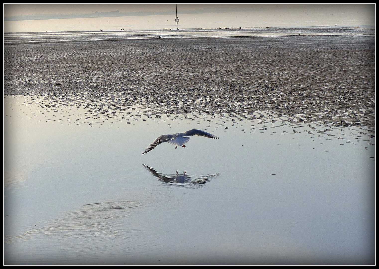 CABOURG - 20 - 