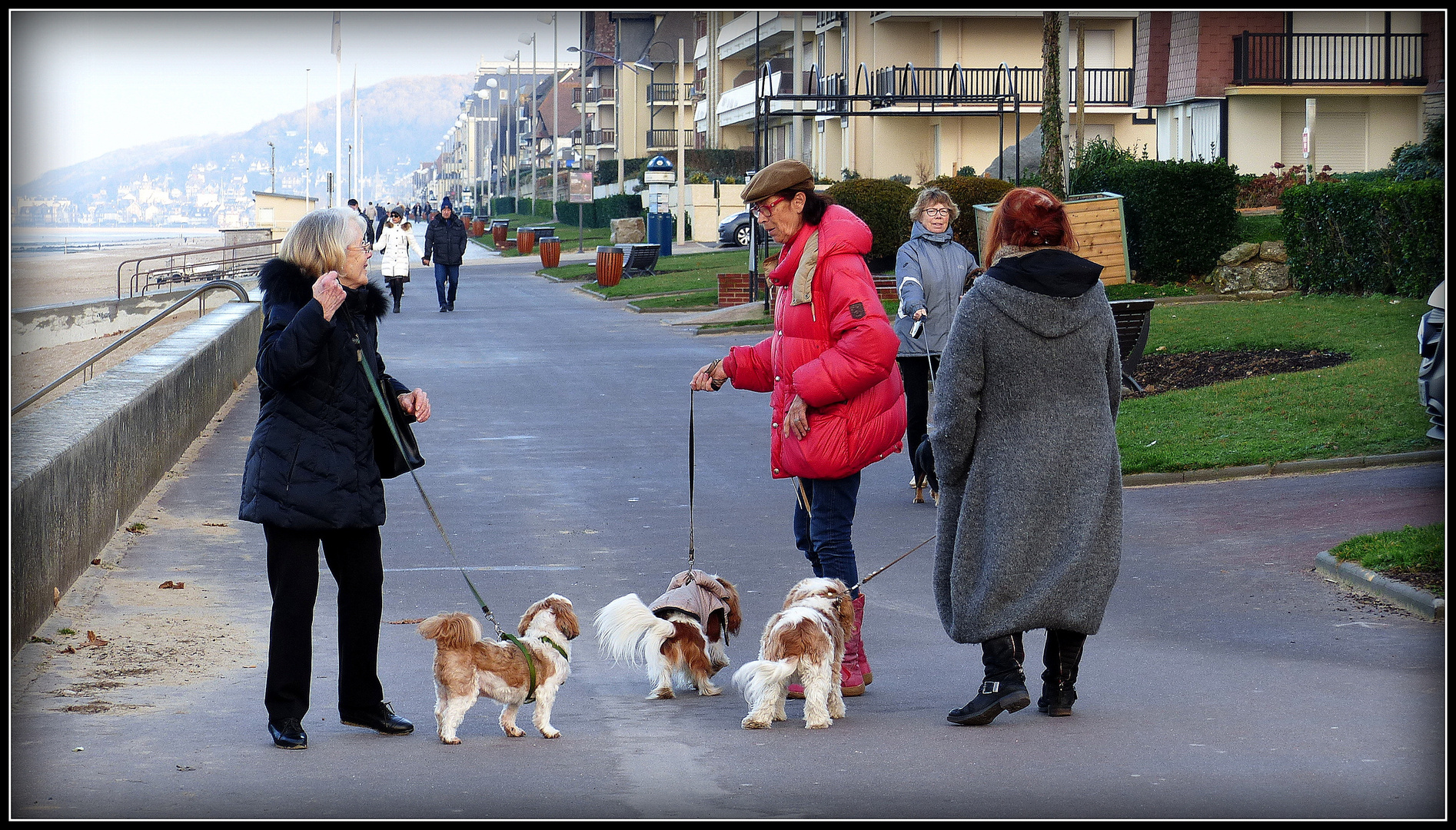 CABOURG - 23 - 