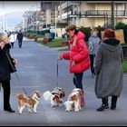 CABOURG - 23 - 