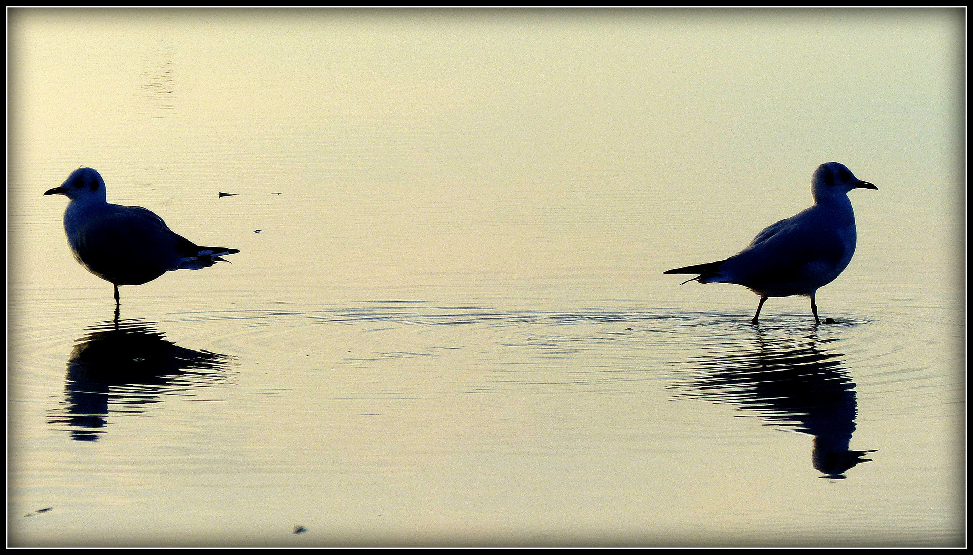 CABOURG  - 27 - 