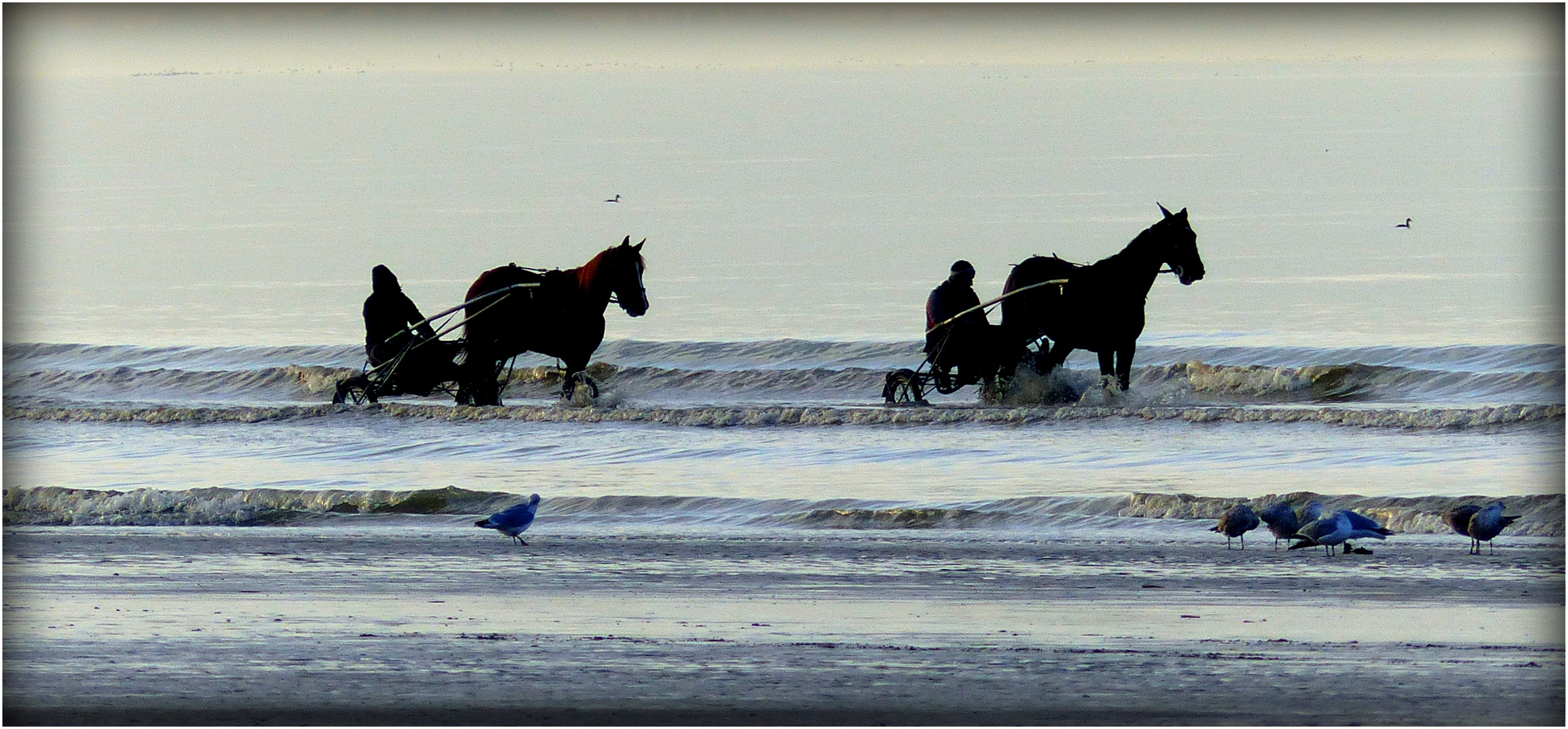 CABOURG - 28 - 