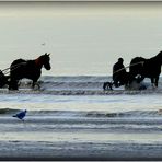 CABOURG - 28 - 