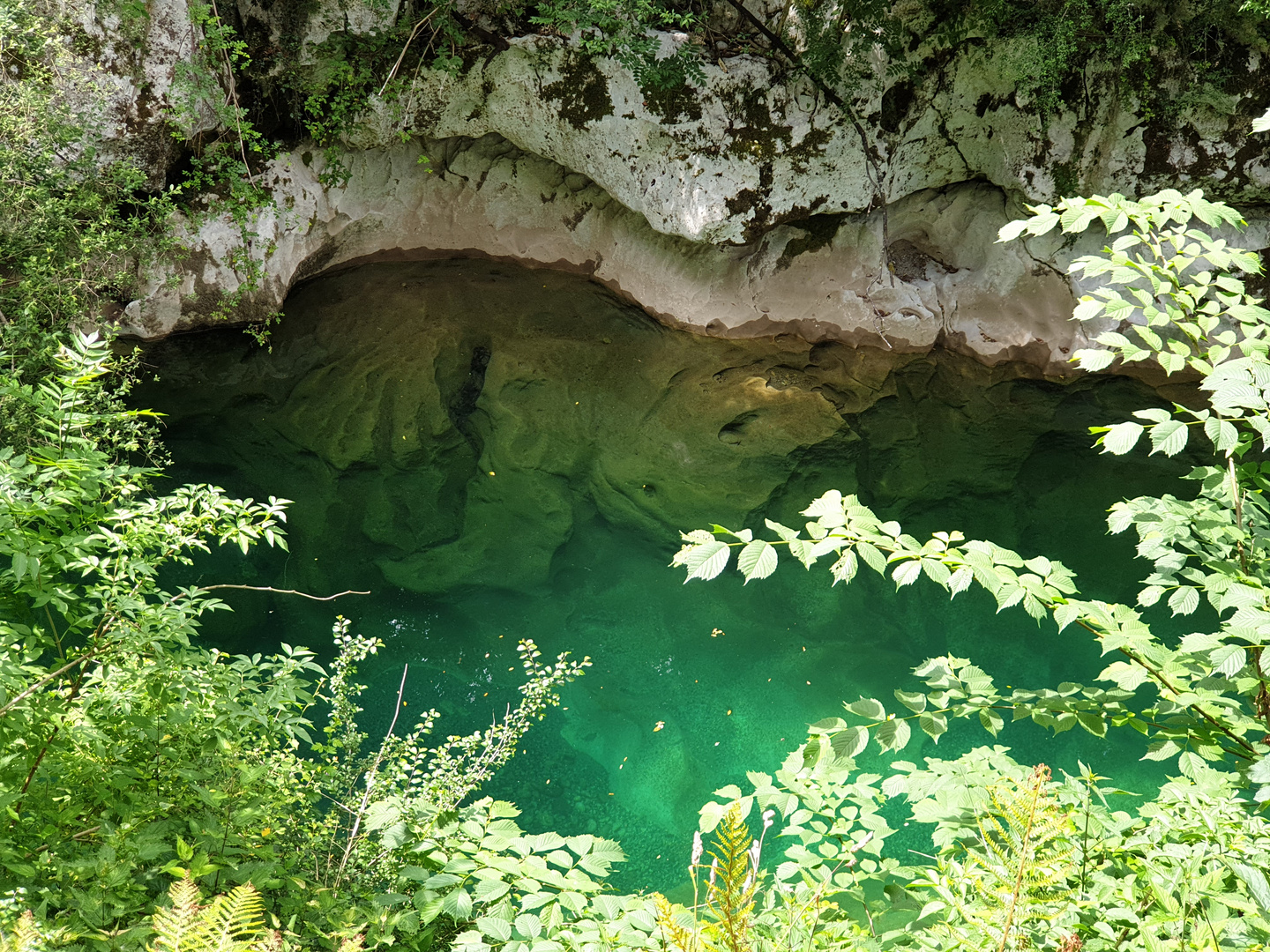 Cabrales 