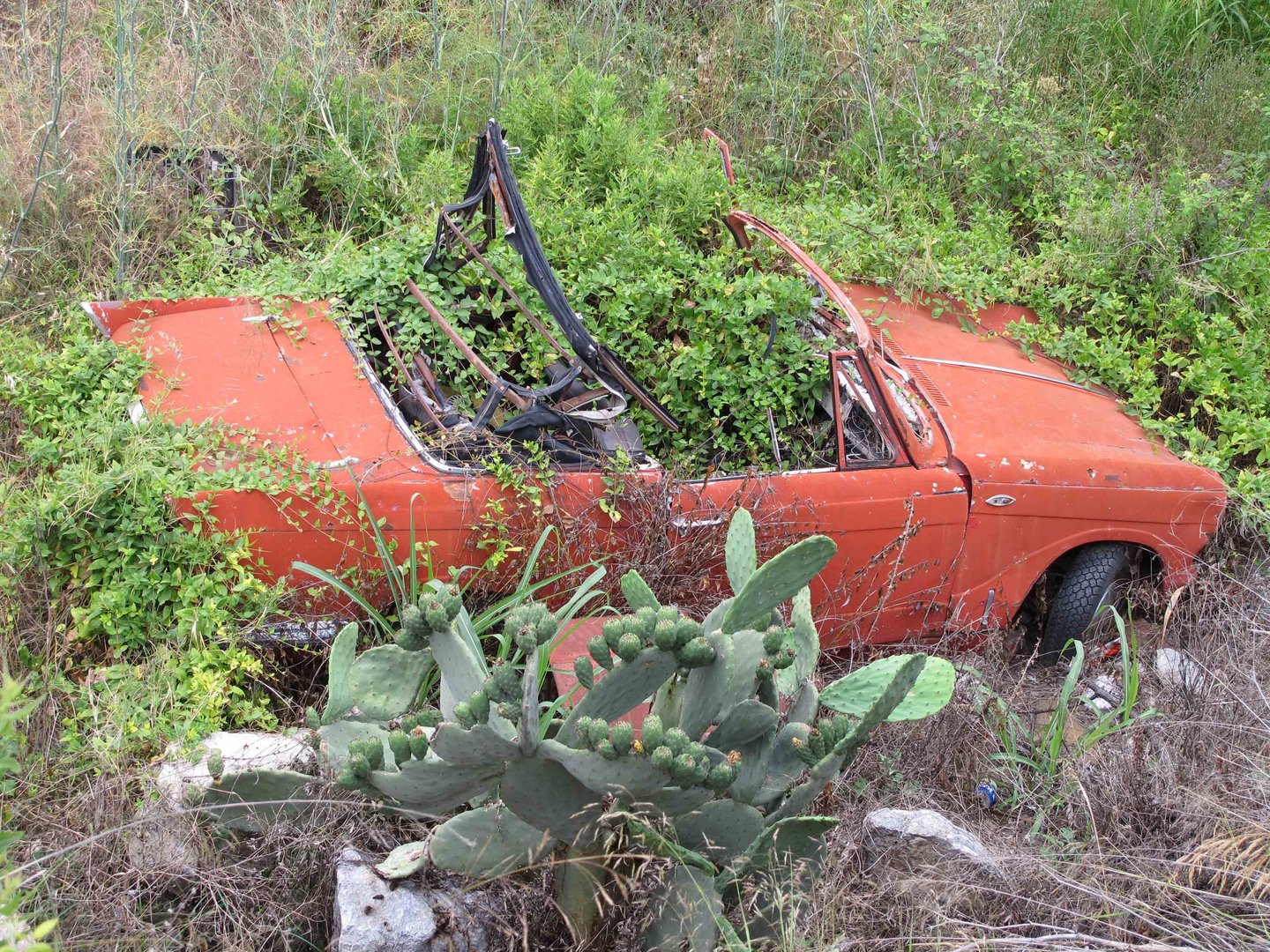 Cabrio als Blumentopf