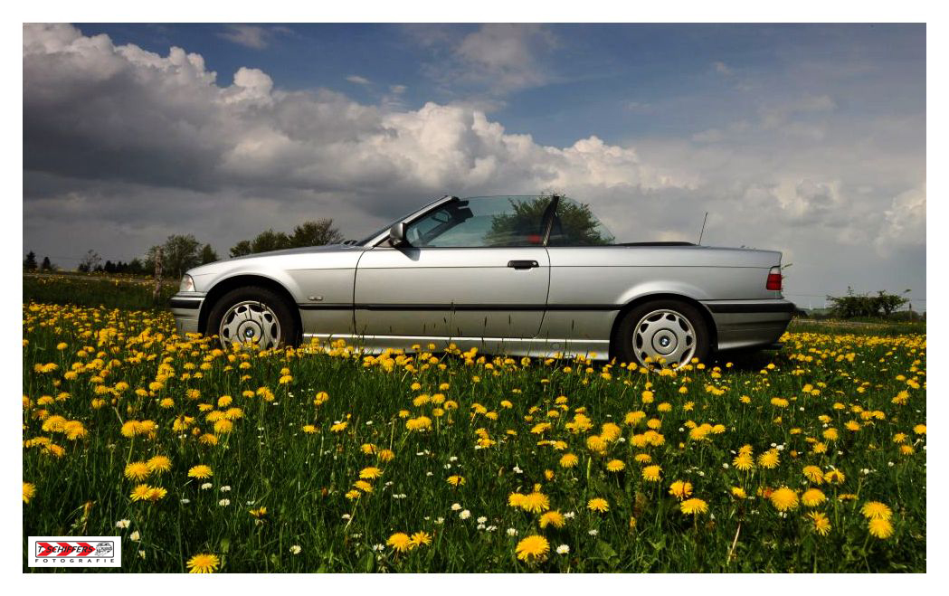 Cabriolet im Blumenmeer versunken ...