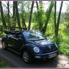 Cabrioletzeit im New Beetle durch den Forst