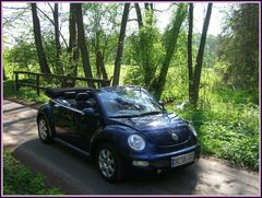 Cabrioletzeit im New Beetle durch den Forst