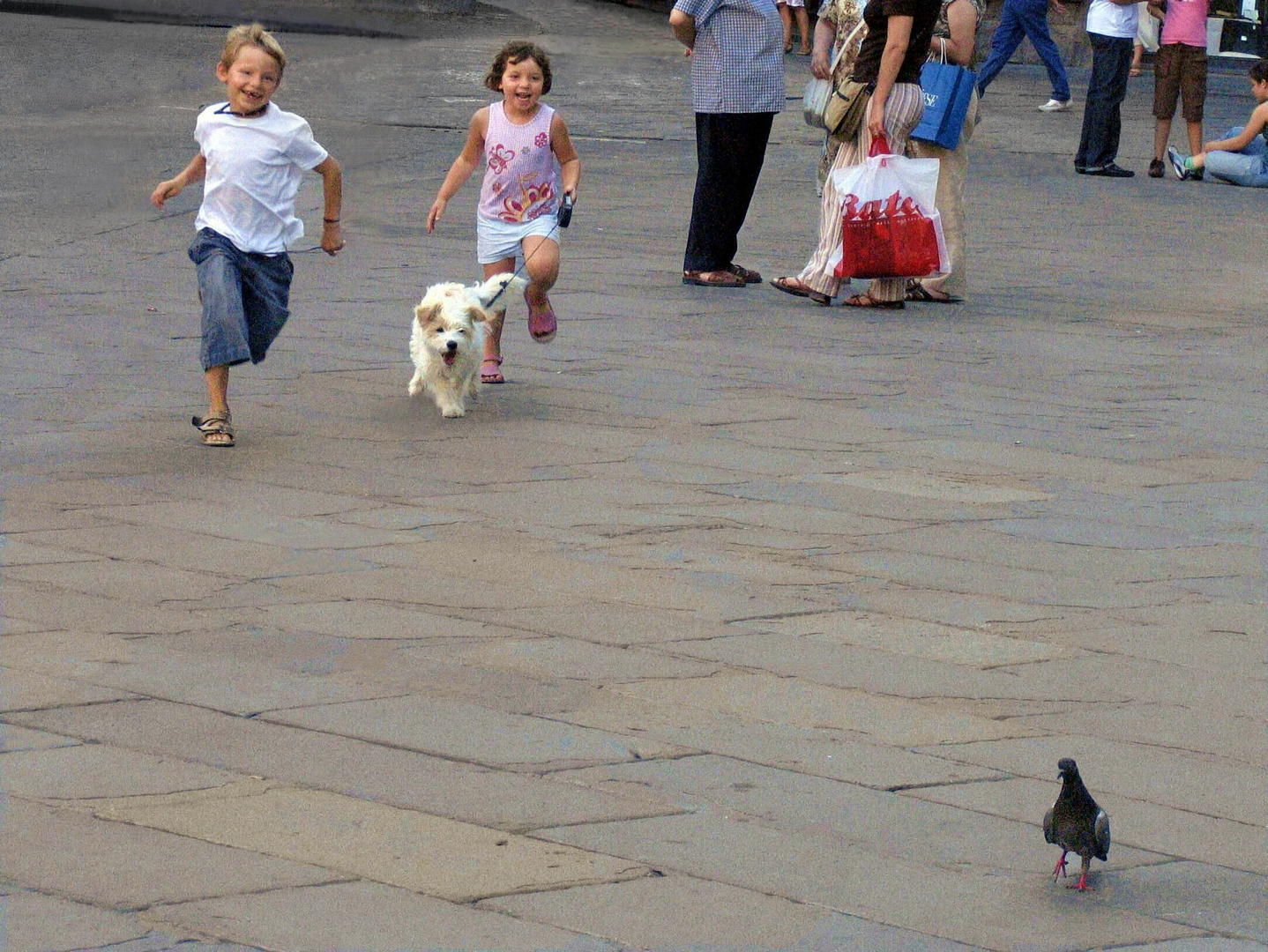 Caccia al piccione con cane.