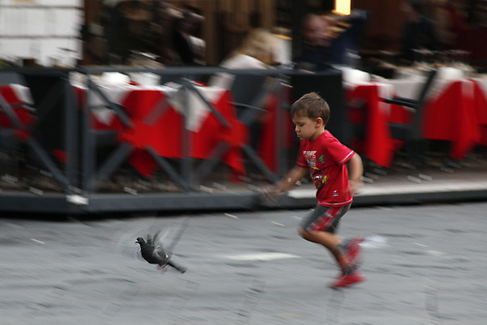 Caccia al Piccione (in ) Rosso