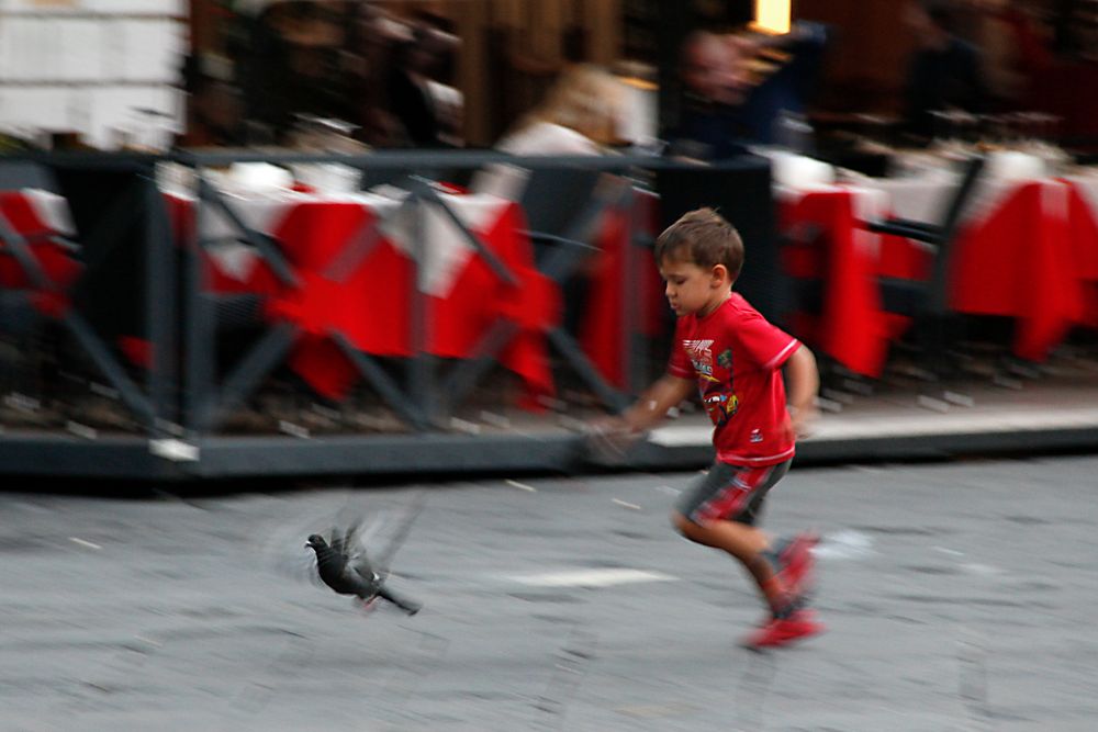 Caccia al Piccione (in ) Rosso