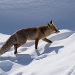  Caccia d'inverno