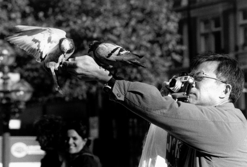 Caccia fotografica