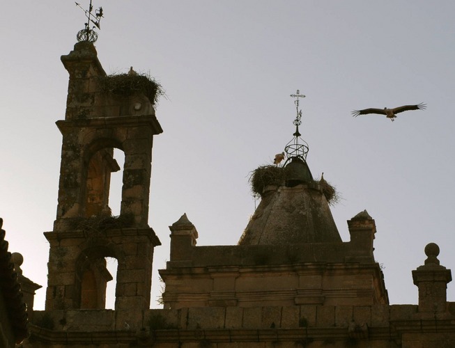 Caceres/Extremadura