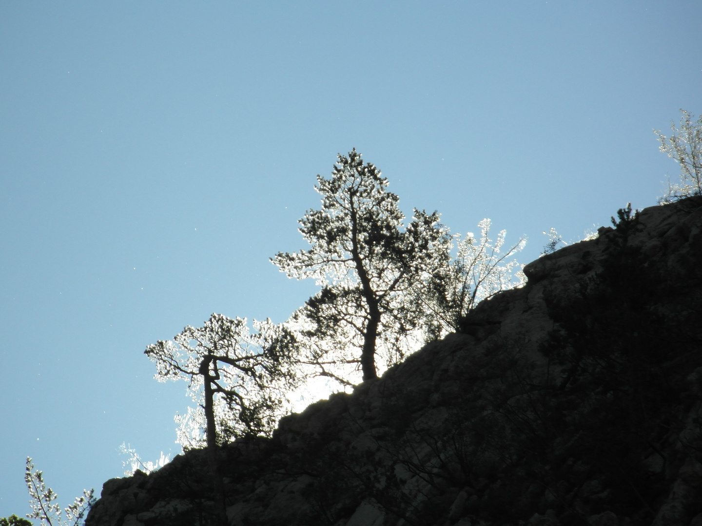 cache cache avec le soleil