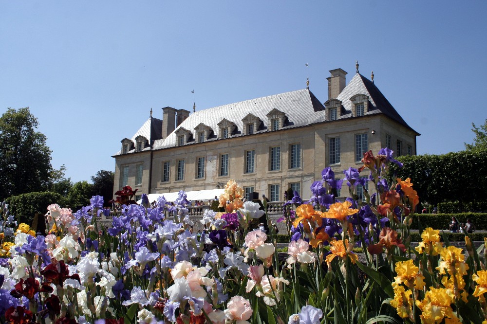 Caché dans les iris