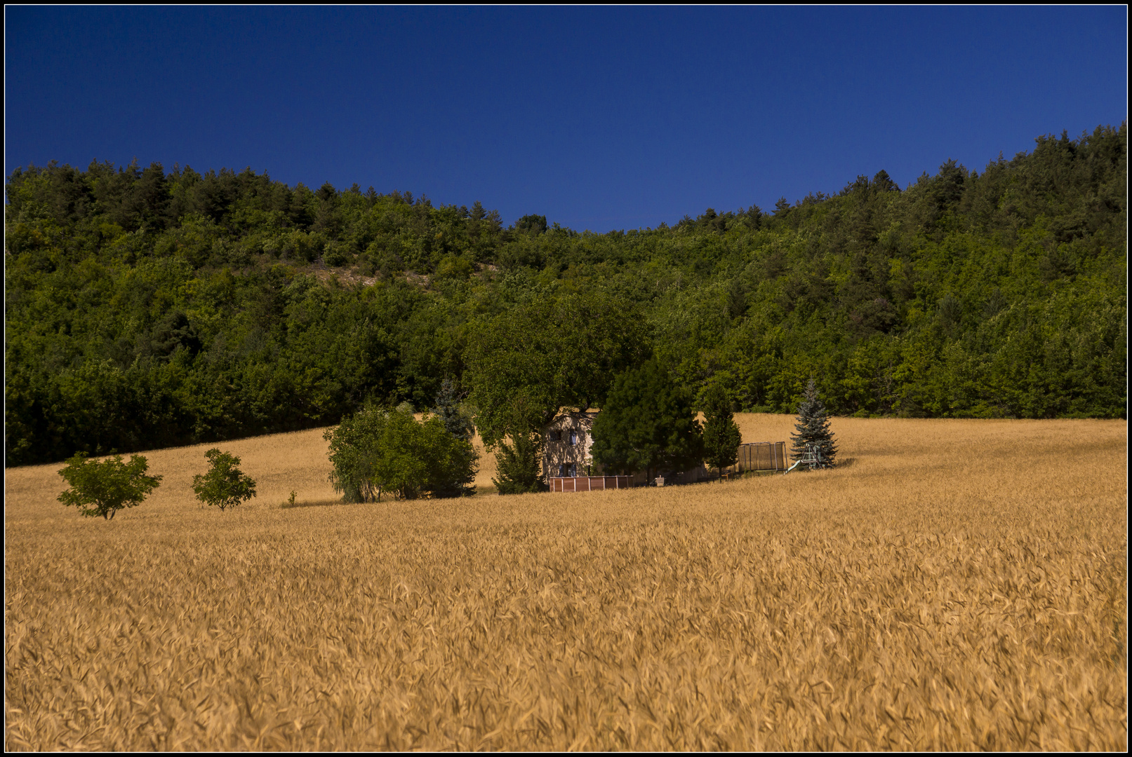 Caché - Das Haus im Feld