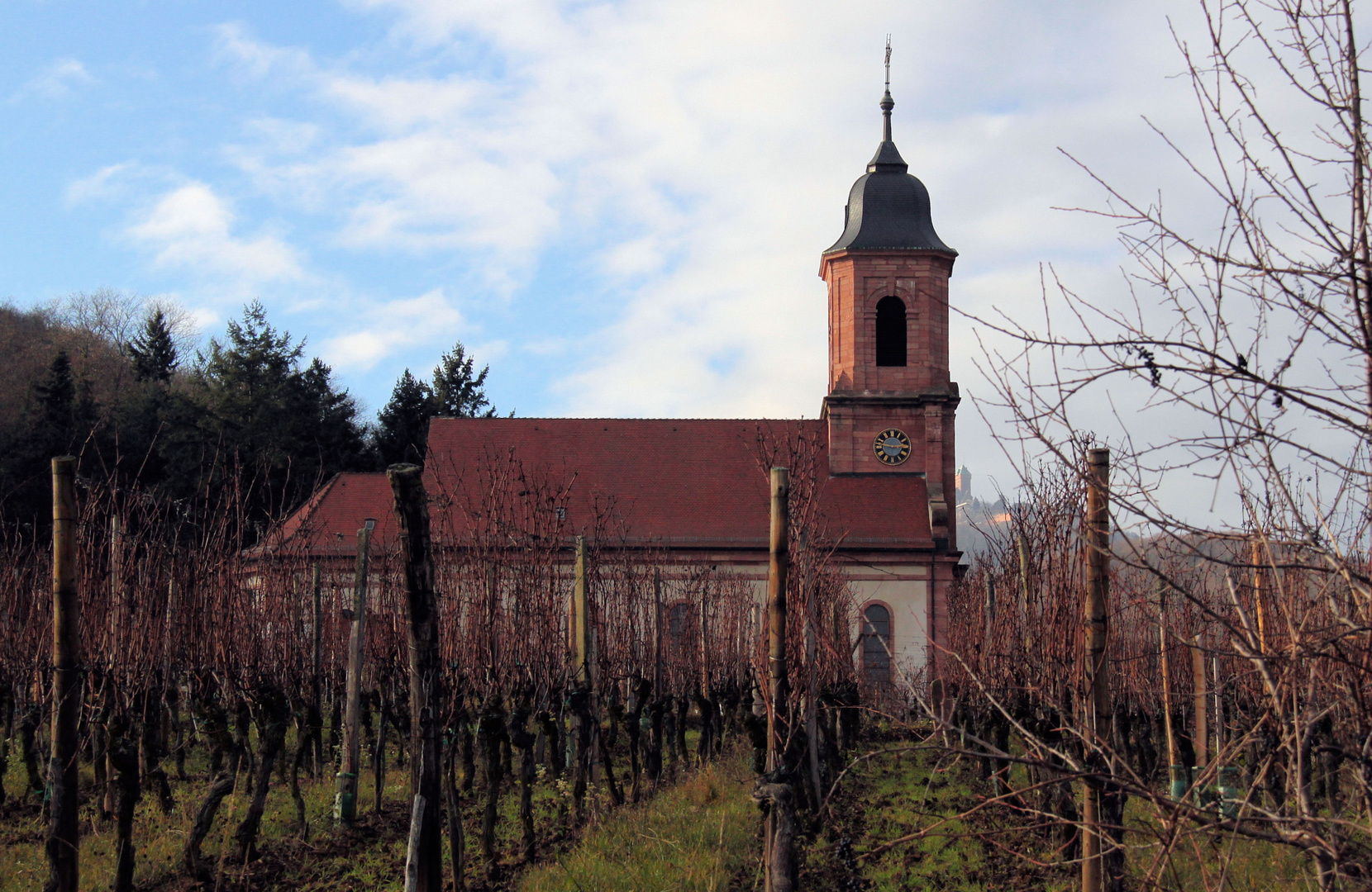 cachée par les vignes!