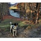 Cacherhund "Fritzi" im Branitzer Park