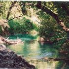 Cachettes de Provence...