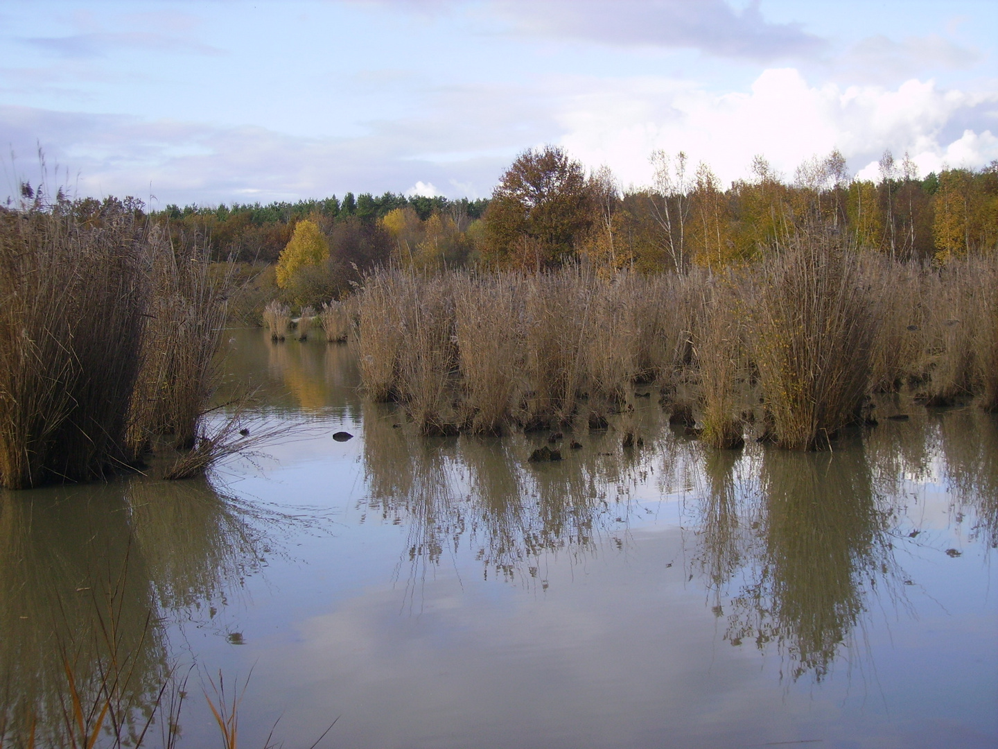 CACHETTES POUR LES POISSONS